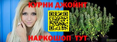 дживик Будённовск