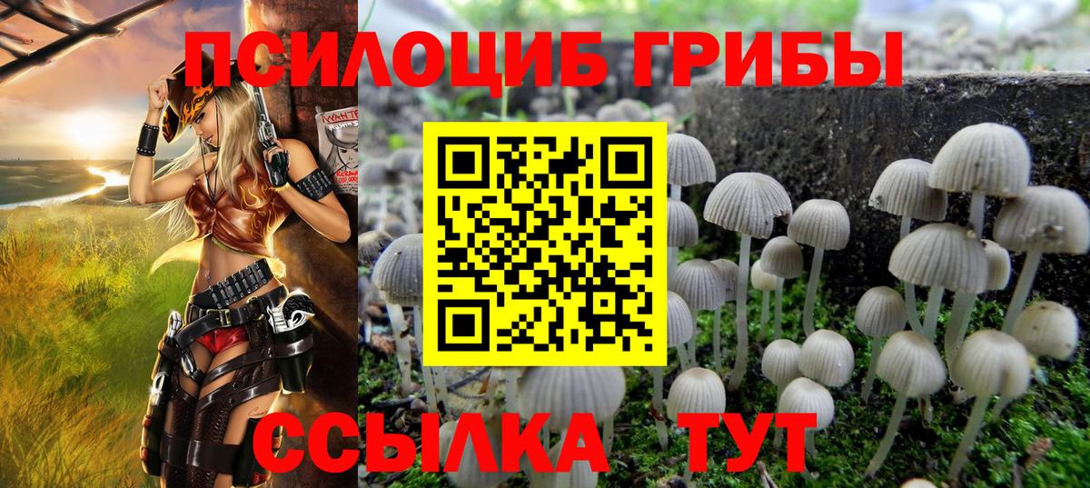 Псилоцибиновые грибы мухоморы  Вход с VPN  Ноябрьск  Псилоцибиновые грибы MAGIC MUSHROOMS 